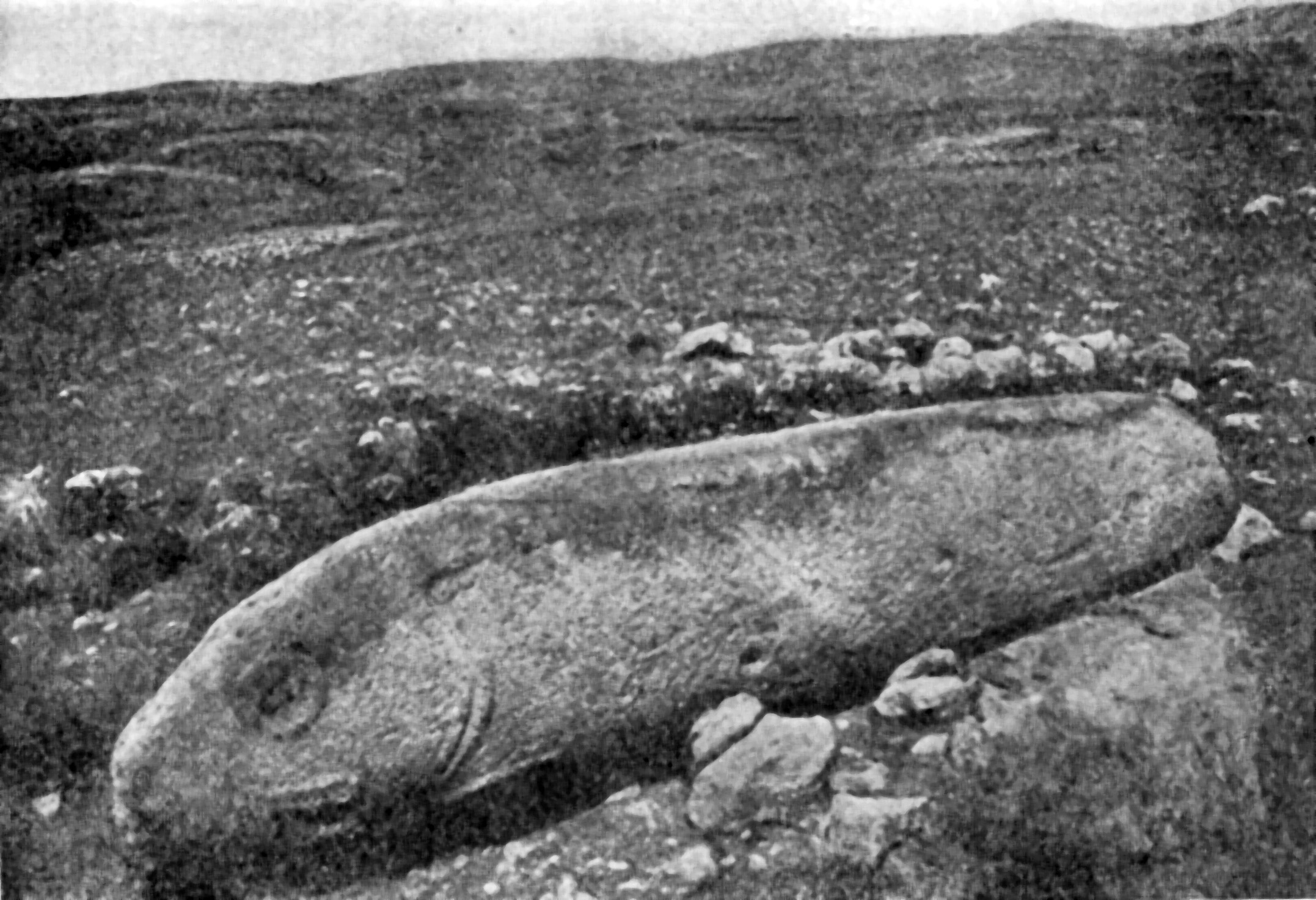 Die ersten entdeckten Vishapakar. Funde der Expedition von Nikoghayos Marr und Yakov Smirnov im Jahr 1909 (Geghama-Gebirge). Bild 4